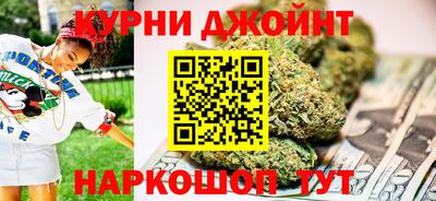 мдпв Новозыбков