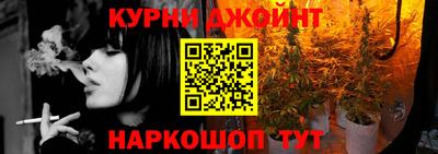 мдпв Новозыбков