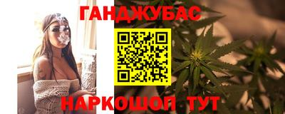 мдпв Новозыбков
