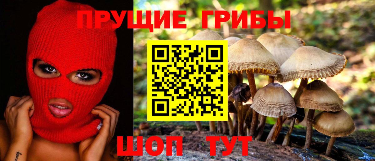 Галлюциногенные грибы прущие грибы Спасск-Дальний