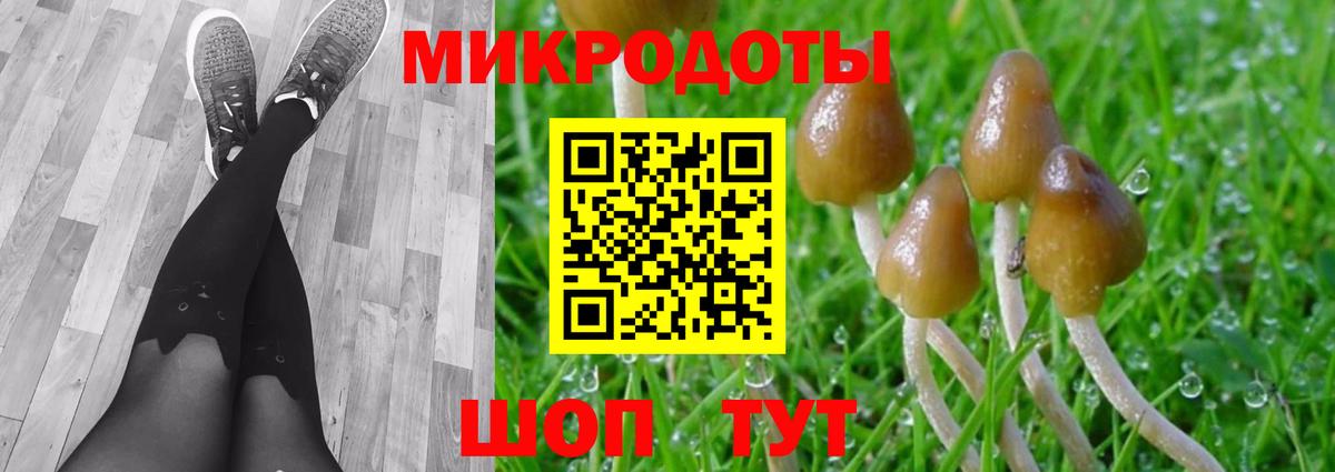 Псилоцибиновые грибы MAGIC MUSHROOMS  Вход с VPN  Псилоцибиновые грибы GOLDEN TEACHER  дарнет шоп  Спасск-Дальний 
